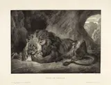Eugène Delacroix, Lion de l'Atlas, 1829, Lithograph on heavy wove paper