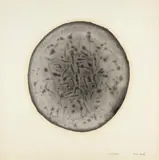 Corsin Fontana, Mikrostruktur, 1970, Oil glaze on smooth wove paper