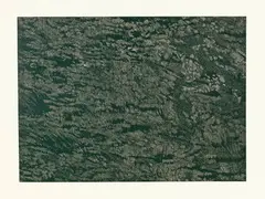 Franz Gertsch, Schwarzwasser II (Detail 1), 1994, Colour woodcut on Kumohadamashi Japan paper by Heizaburo Iwano