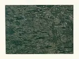 Franz Gertsch, Schwarzwasser II (Detail 1), 1994, Colour woodcut on Kumohadamashi Japan paper by Heizaburo Iwano