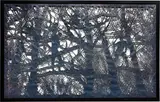 Ed Pien, The Trickster, 2012, Paper cut-out from Japan, laminated on 3M reflective film and mounted in a wooden frame