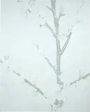 Kotscha Reist, Blüten, 2005, Oil on canvas
