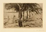 Edvard Munch, Strandlandschaft - Beach Landscape, 1902, Etching on yellowish copperplate paper