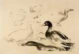 Edvard Munch, Enten - Ducks