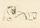 Edvard Munch, Zwei liegende Löwen - Two Reclining Lions, 1913, Lithograph on Japan laid paper
