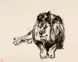 Edvard Munch, Liegender Löwe - Lion Lying Down, 1915, Lithograph on cream wove paper