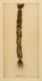 Jim Dine, Braid (second state), 1973, Etching on cream laid paper with Zerkall watermark