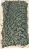 Franz Gertsch, Ohne Titel, Colour woodcut on Kumohadamashi Japan paper