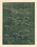Franz Gertsch, Ufersteine, 2002, Colour woodcut on Kumohadamashi Japan paper