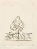 Alberto Giacometti, L’Arbre IV, 1955/1956, Etching on wove paper