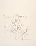Alberto Giacometti, Paysage aux arbres et aux montagnes en Bregaglia, 1963, Published 1964, Lithograph on Rives wove paper with watermark