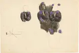 Otto Meyer-Amden, Vorbereitung, Studie für drei Figuren