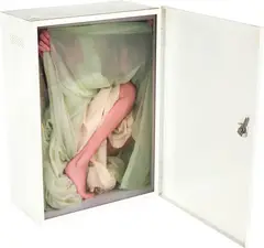 Chantal Michel, Schränkli, Circa 2012, Small pharmacy cabinet, lamp electrified, print on acrylic glass panel