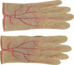 Meret Oppenheim, Handschuhpaar, 1985, Screen print on goatsuede, piped