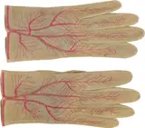 Meret Oppenheim, Handschuhpaar