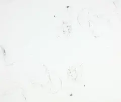 Rosemarie Trockel, O.T., 1989, Photocopied hair, gouache, on paper