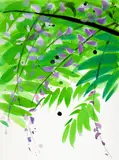 Teruko Yokoi, Wisteria, 2006, Egg-tempera on watercolour paper