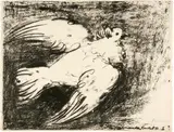 Pablo Picasso, La colombe en vol. Fond noir