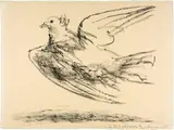 Pablo Picasso, Le vol de la colombe