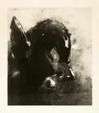 Odilon Redon, Pégase captif, 1889, Lithograph on chine appliqué on wove paper