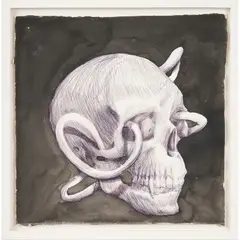 Ben Quilty, Untitled, 2007, Chinese drawing ink and biro on Aquari paper
