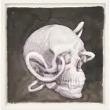 Ben Quilty, Untitled, 2007, Chinese drawing ink and biro on Aquari paper