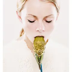 Petrina Hicks, Shenae and Jade, 2005, archival inkjet print, ed.15/50