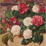 Sybil Craig, Camellias, oil on canvas
