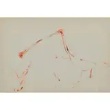 John Olsen, Brolgas Dancing