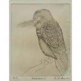 Robert Dickerson, Kookaburra, etching, AP