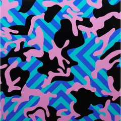 Reko Rennie, Camo OA, 2024, oil on linen
