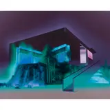 Darren Wardle, Adaptation, 2007, oil and acrylic on canvas