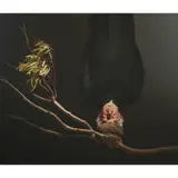 Hossein Valamanesh, Nesting, 2005, digital print on watercolour paper, ed. A.P