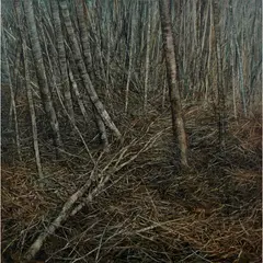 Nicholas Blowers, Interior Bush Debris II, 2009, oil on canvas