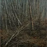 Nicholas Blowers, Interior Bush Debris II, 2009, oil on canvas