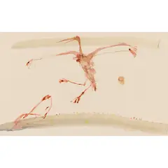 John Olsen, Brolga Displaying, 1973, watercolour and gouache on paper