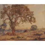 Hans Heysen, The Red Gum