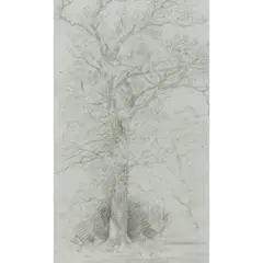 John Constable, Study of a Mature Tree in a Landscape, pencil on paper