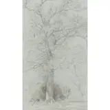 John Constable, Study of a Mature Tree in a Landscape, pencil on paper