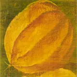 Tim Maguire, 97u13, 1997, oil on canvas