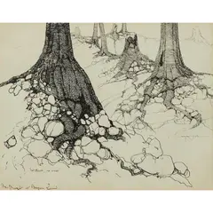 Blamire Young, The Drought at Brogoon Land, ink on paper