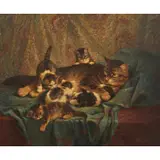 Cornelis Raaphorst, Mother Cat and Kittens, oil on canvas