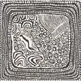 Nyurapayia Nampitjinpa, (Language group: Pintupi/Pitjantjatjara), synthetic polymer paint on canvas