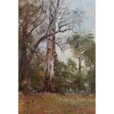 Frederick McCubbin, (Bush Study, Macedon), oil on board