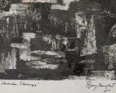 Barry Humphries, Australian Floorscape, photograph