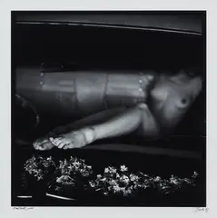 Jane Burton, Badlands 7,, 2001, C-type photograph
