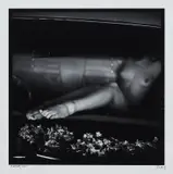 Jane Burton, Badlands 7,, 2001, C-type photograph