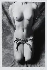 Fish and Flesh Fetish by Ian Lever, photograph, sold Jun 2025