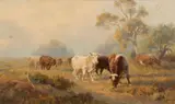 Sara Lewis, Grazing Cattle, 1895, oil on canvas