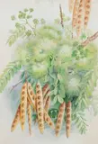 Ellis Rowan, Albizia Lebbeck (Women's Tongue, East Indies)